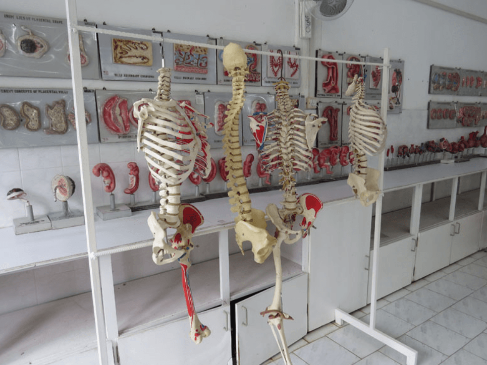 Forensic Models